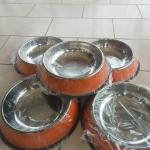 Assiettes pour Chiens et Chats