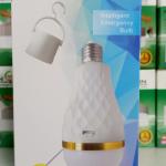 Intelligent emergency bulb